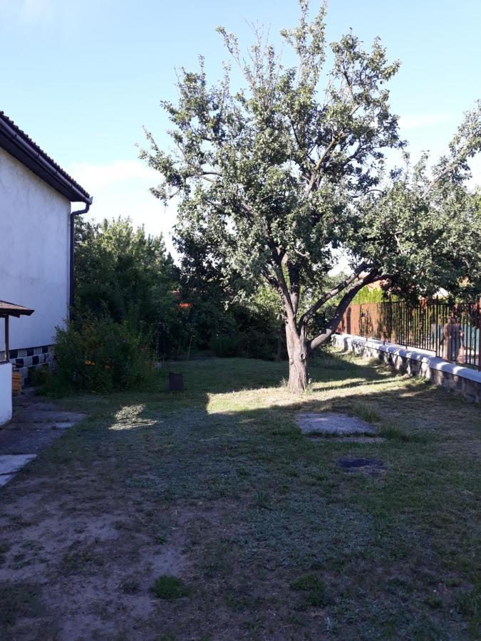 Retrovilla Balatonkenese Exterior foto